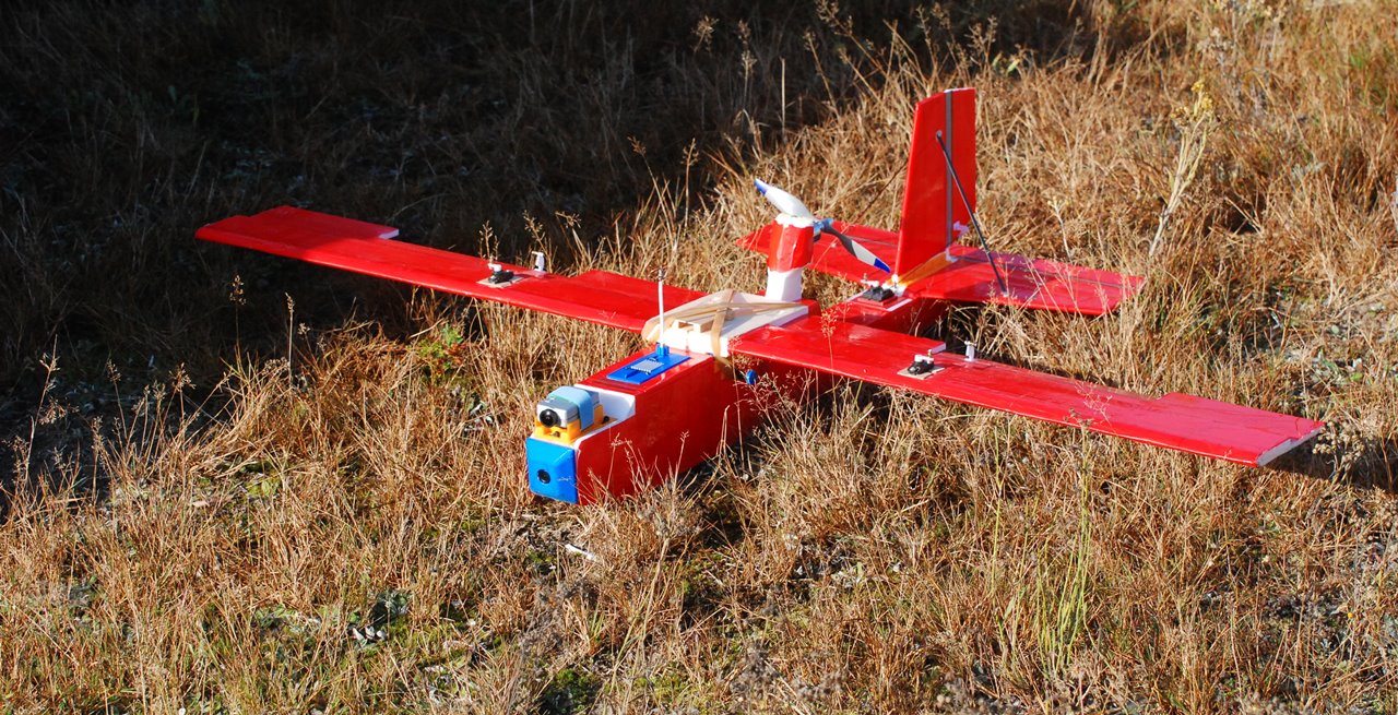 Marabou stork FPV airplane