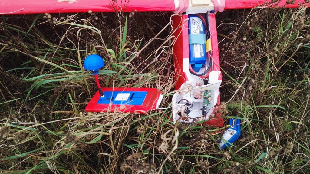 marabou stork crash 2